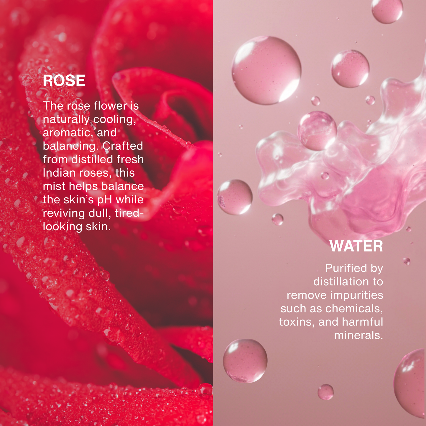 Fragrant Facial Mist Dewy Rose